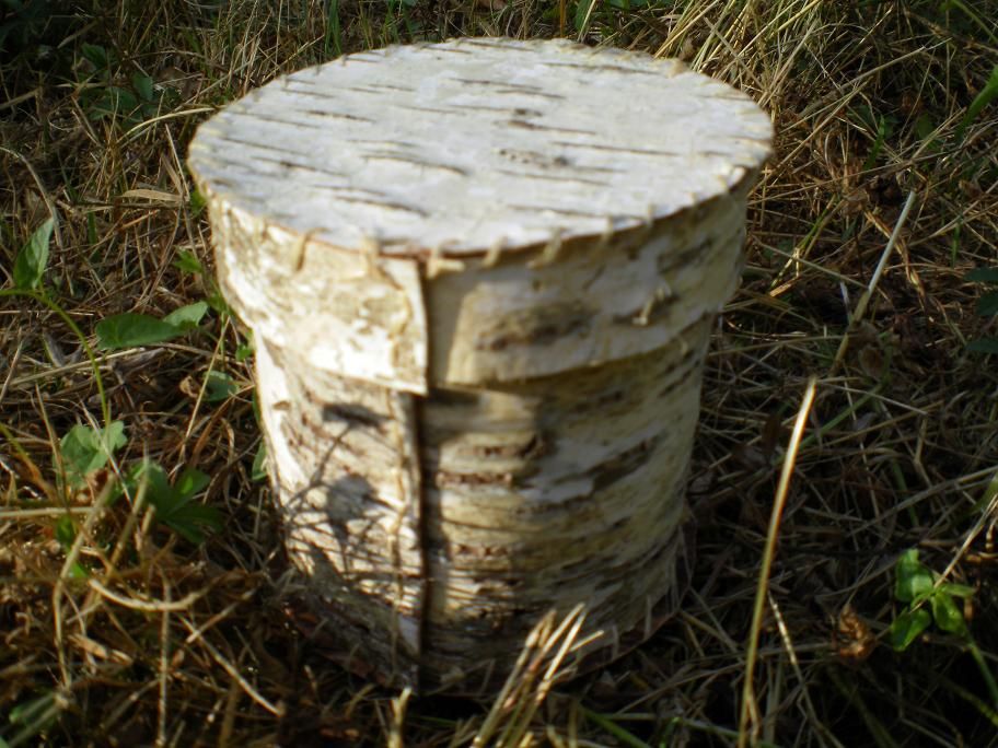 STP GOODS Boîte à Pain En écorce De Bouleau à Motif D'oiseaux